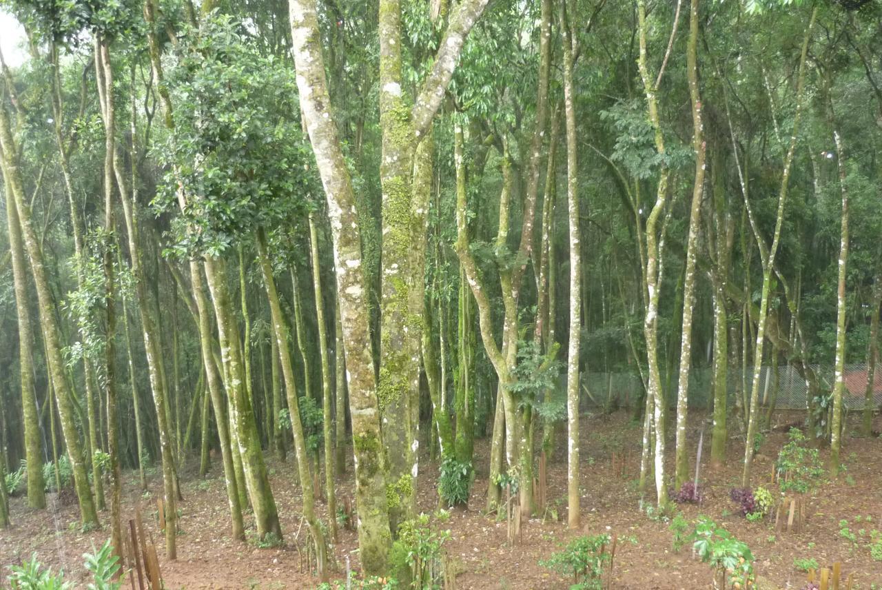La Reserve Suites Monte Verde  Zewnętrze zdjęcie